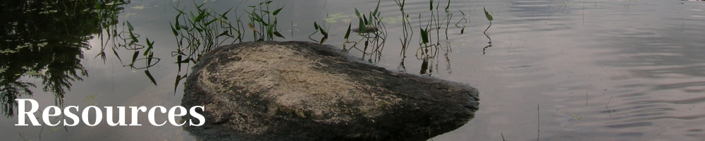 Diversity & Inclusion Web (1)